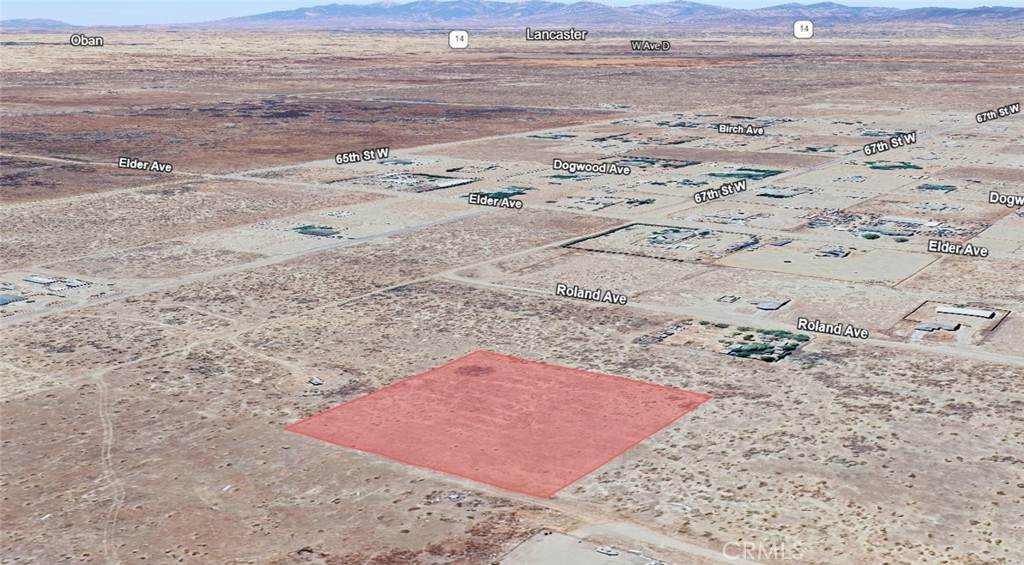 37509029 Rosamond - Photo 1