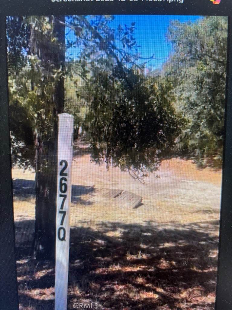 26770 Saunders Meadow - Photo 1