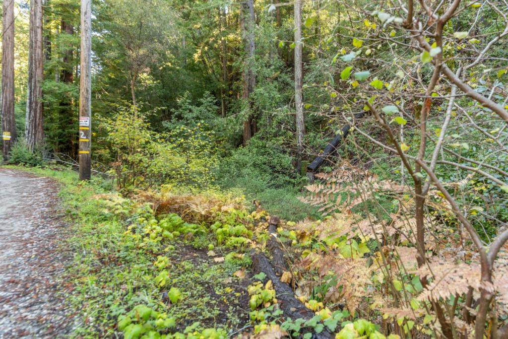 4 Old Mill Avenue - Photo 1