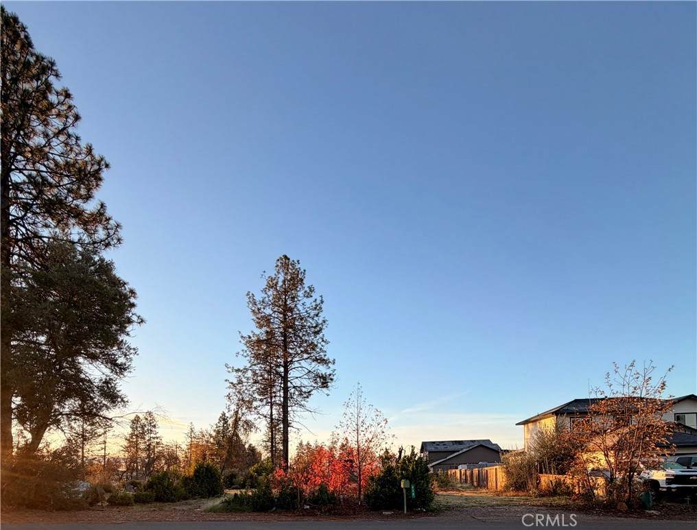 920 Pearson Road - Photo 1