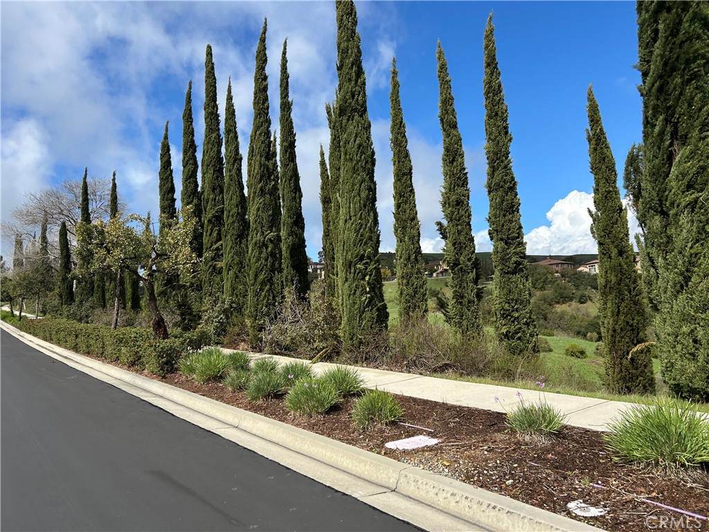 16567 Vellano Club Dr - Photo 1