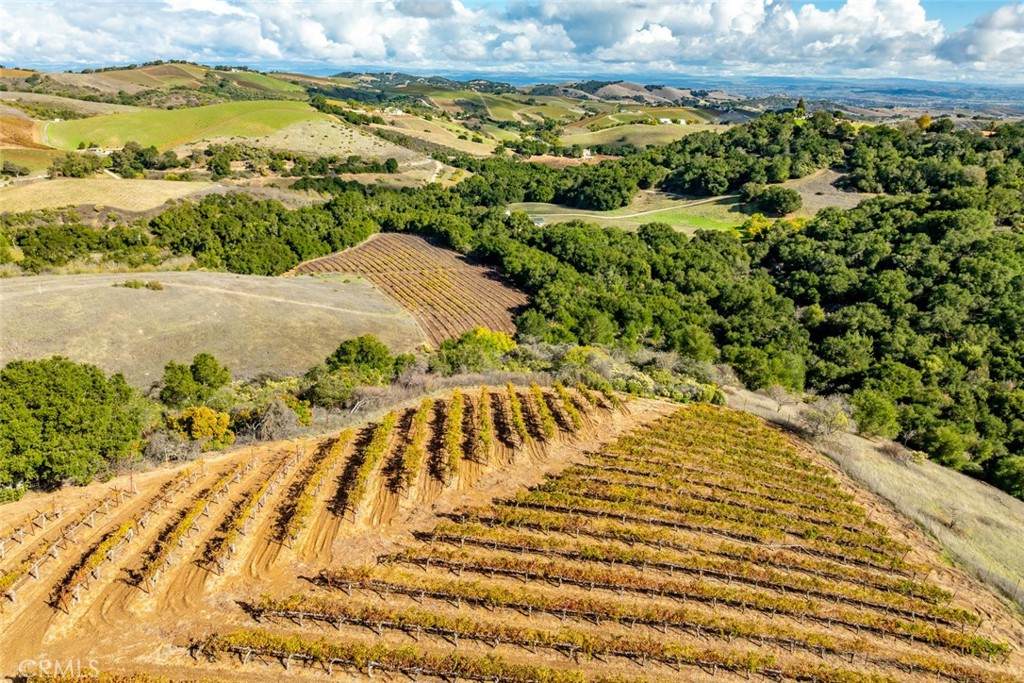 0 Peachy Canyon - Photo 1