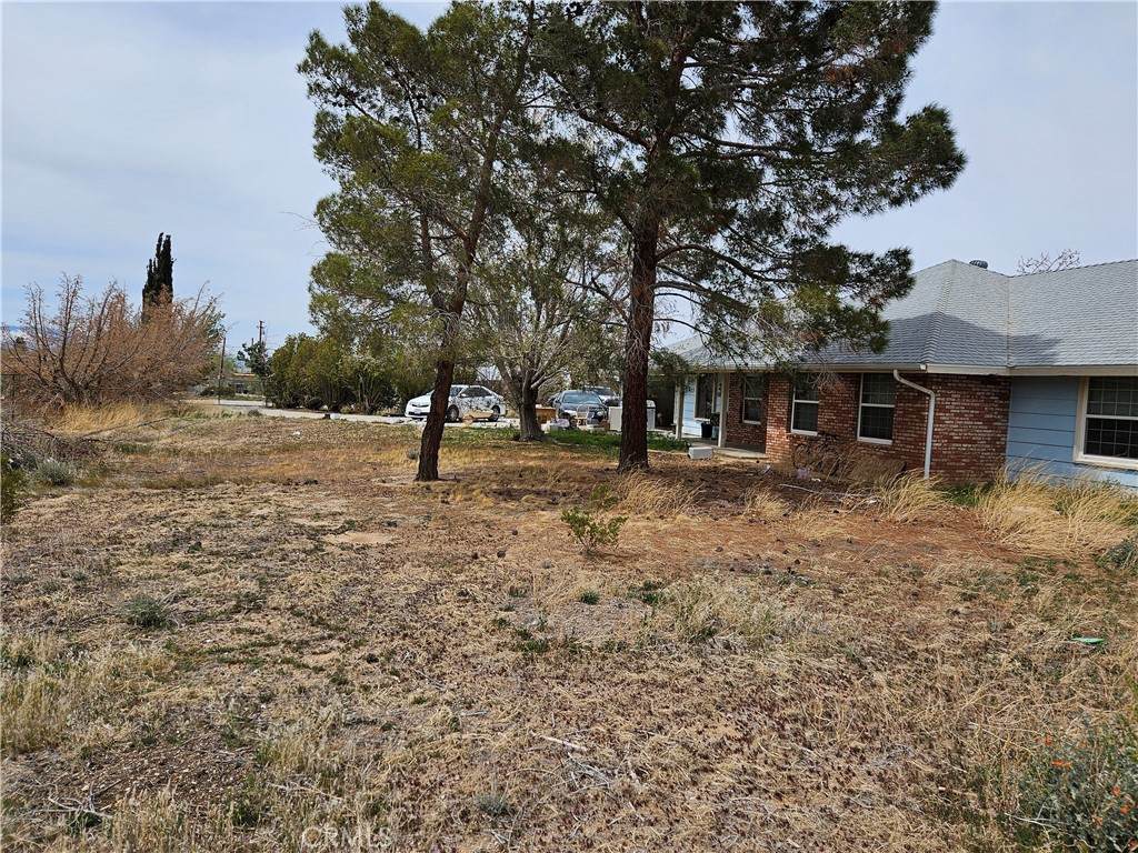 11175 Tyee Road - Photo 1