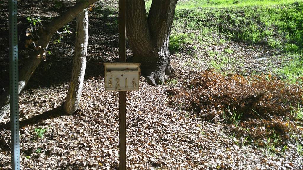 4214 Elzevir Road - Photo 1