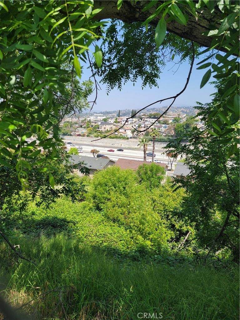 3717 Woolwine Drive - Photo 1