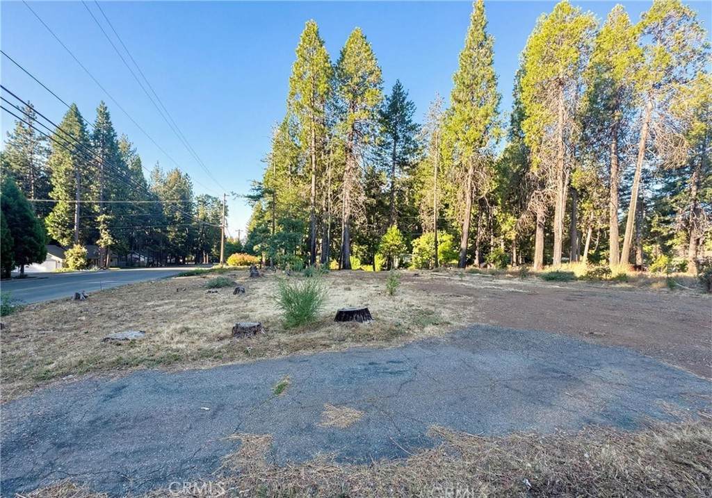 14105 Creston Road - Photo 1