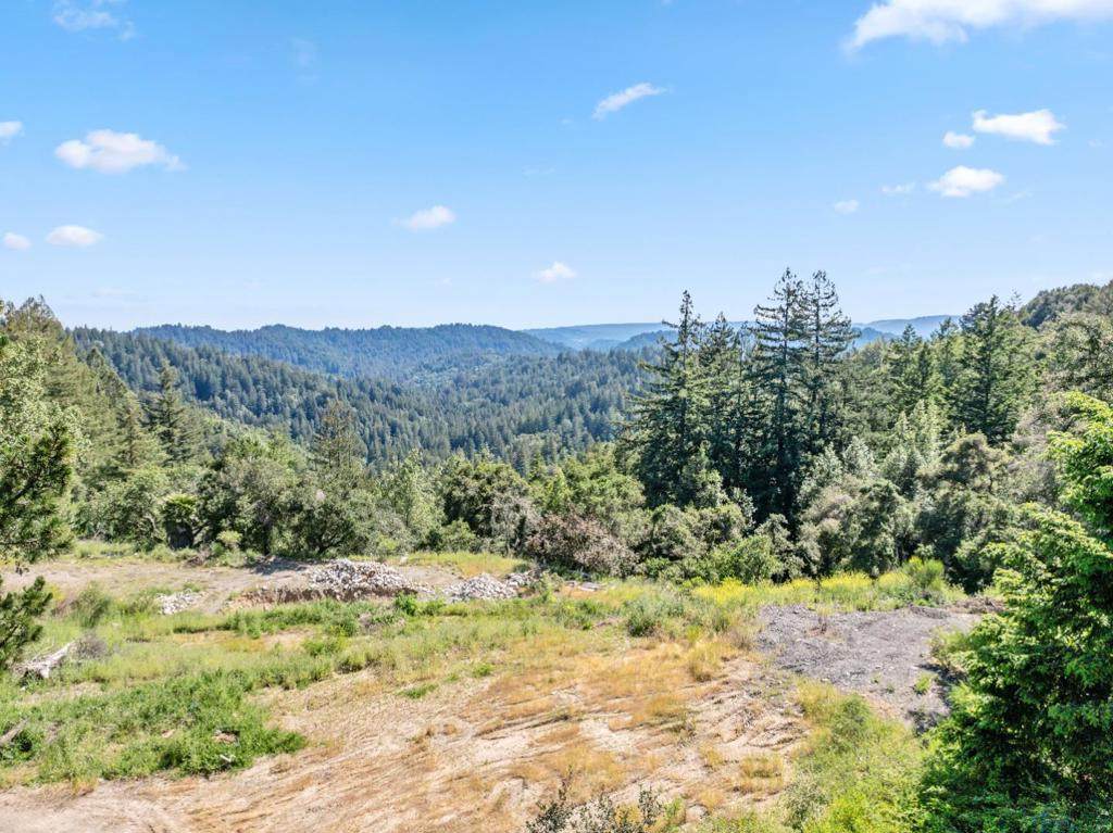 22981 Highway 17 - Photo 1