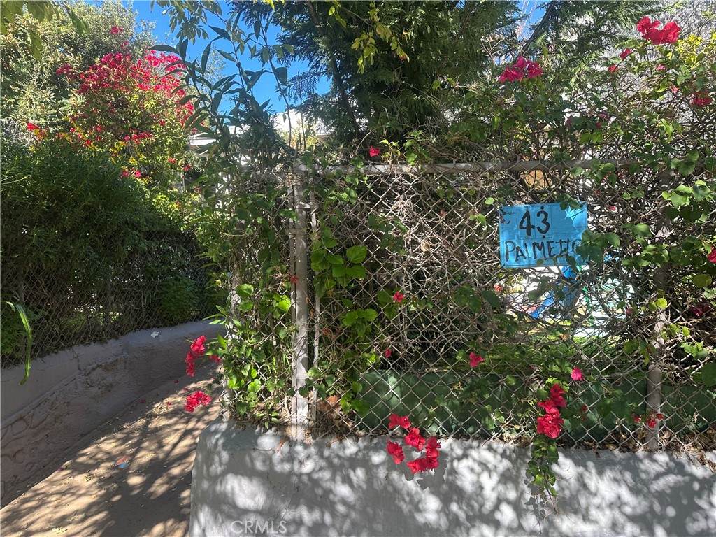 43 Palmetto - Photo 1