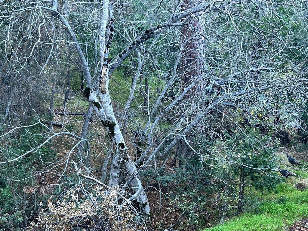 https://bt-photos.global.ssl.fastly.net/socal/orig_boomver_1_407992266-2.jpg