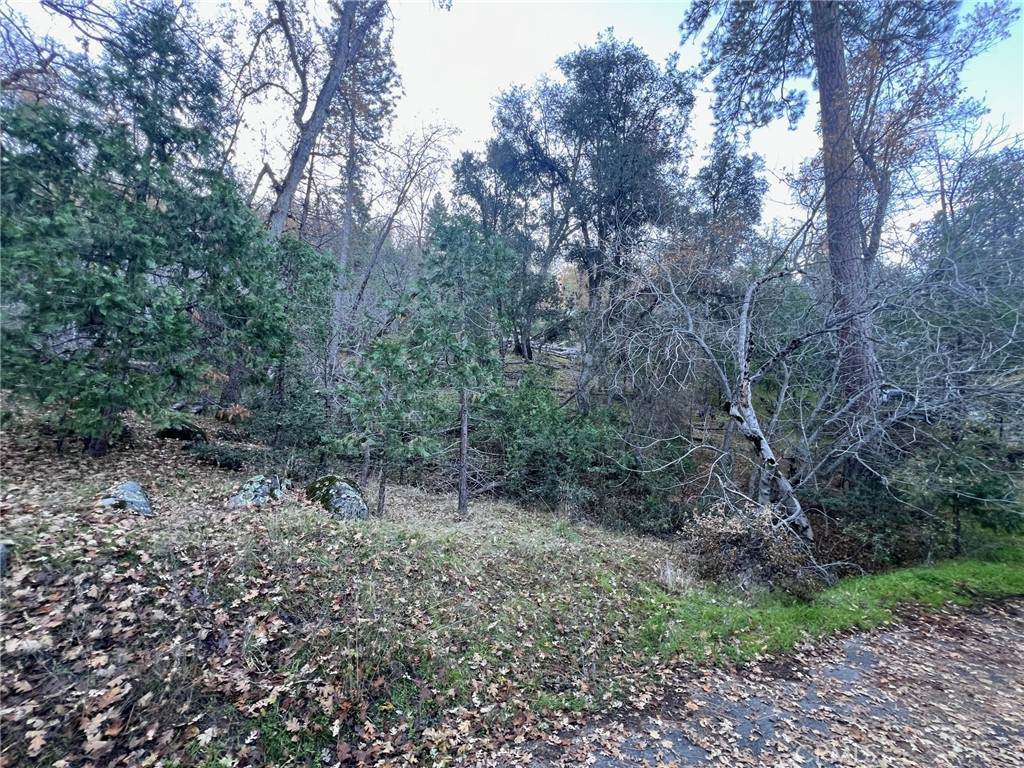 https://bt-photos.global.ssl.fastly.net/socal/orig_boomver_1_407992266-2.jpg