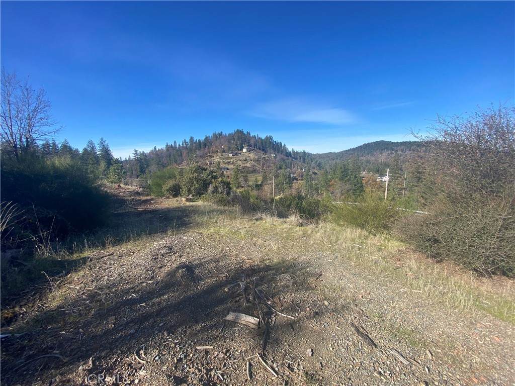 14733 Dove Drive - Photo 1