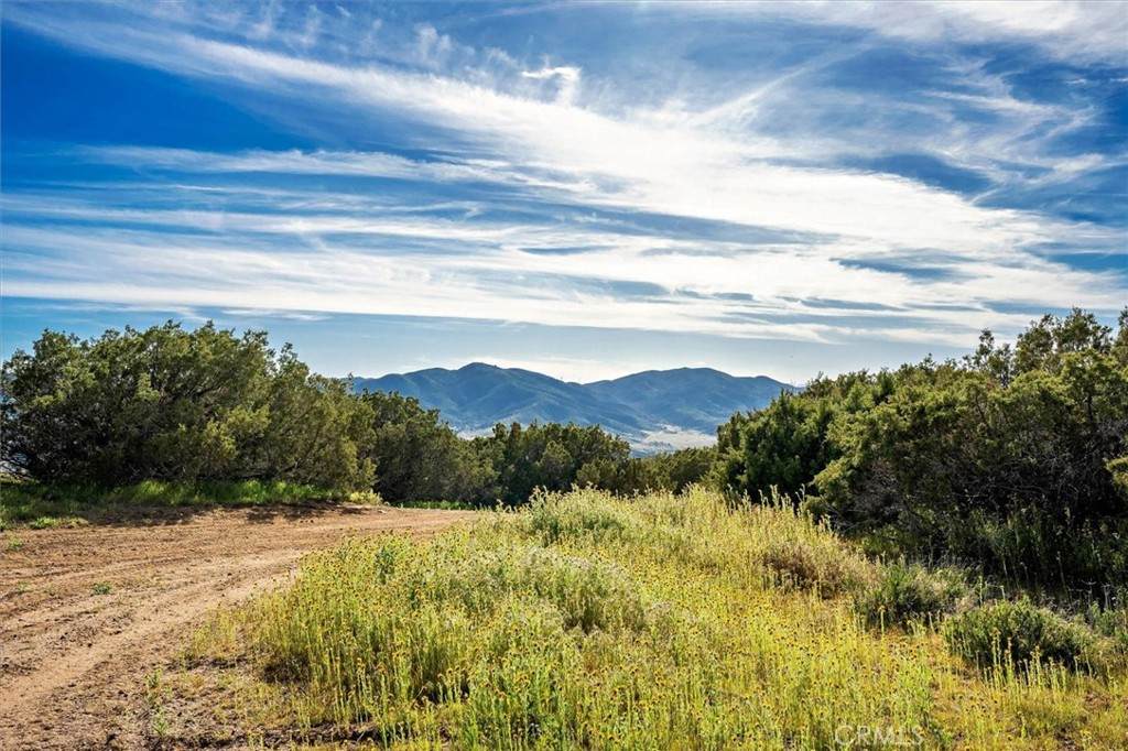 48725 Shallow Springs Road - Photo 1