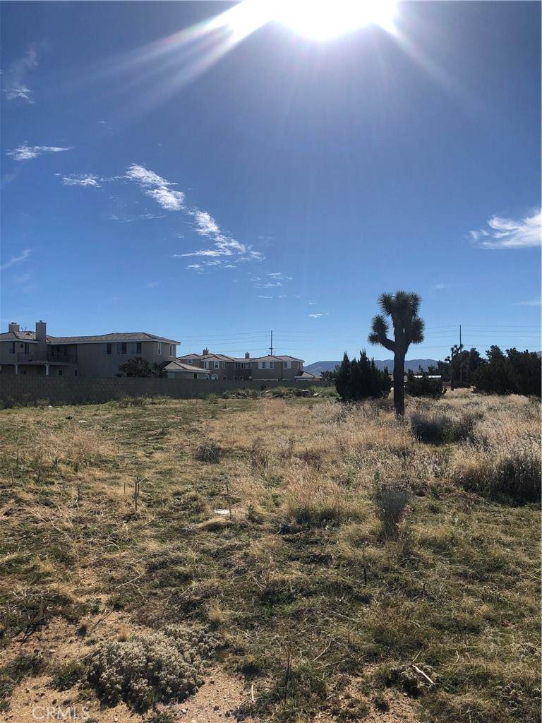 0 Vac/Vic Avenue M14/35Th Stw - Photo 1