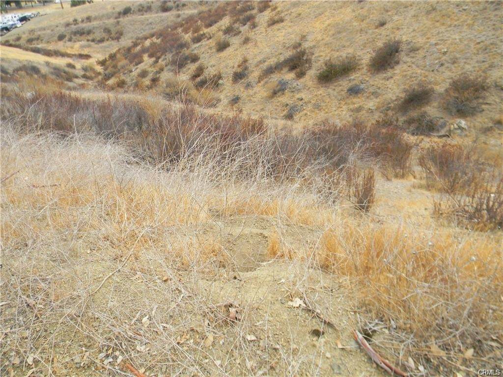 0 Elm Street/Sunnyslope - Photo 1