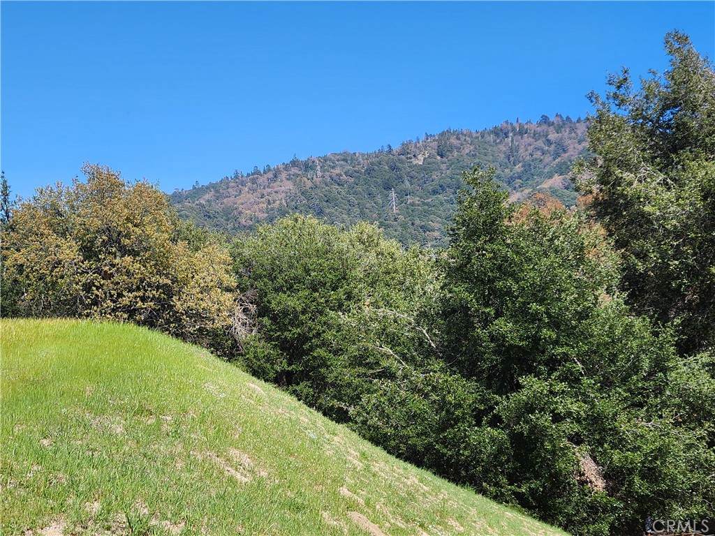 327 Davos Drive - Photo 1