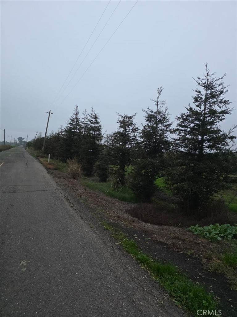 0 Walker Landing - Photo 1