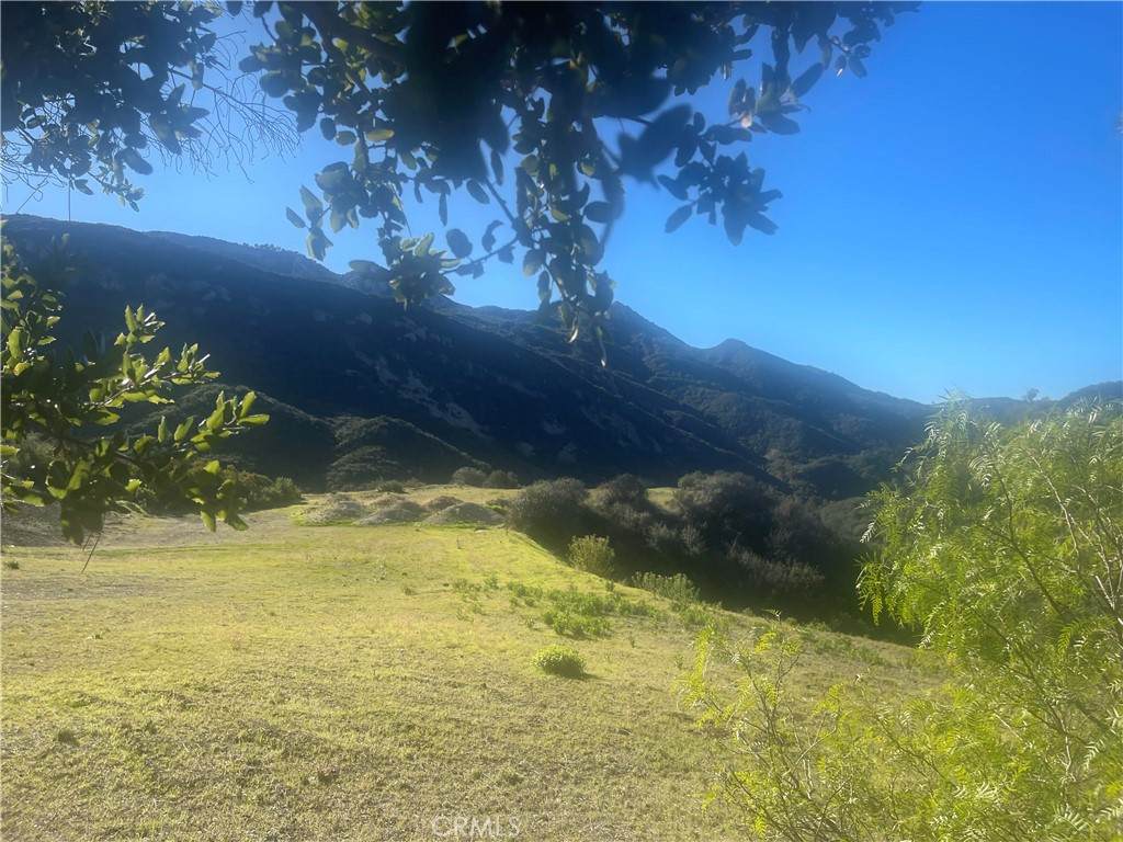 25066 Mulholland Hwy - Photo 1