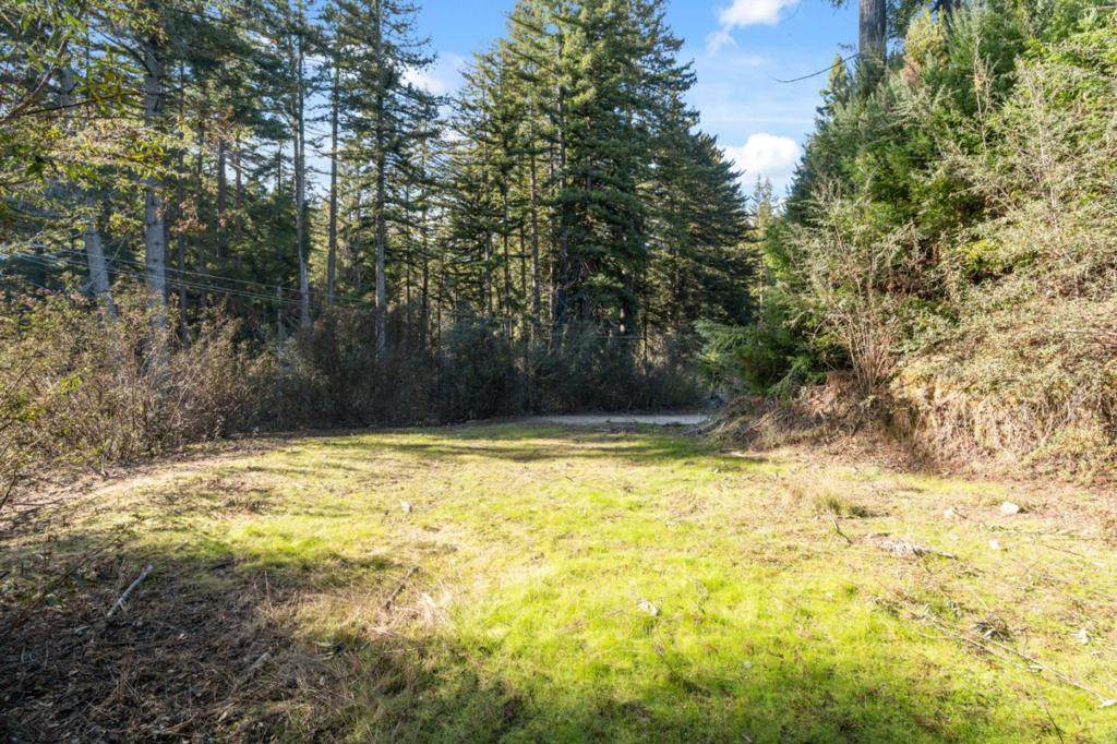 16470 Jamison Creek Road - Photo 1