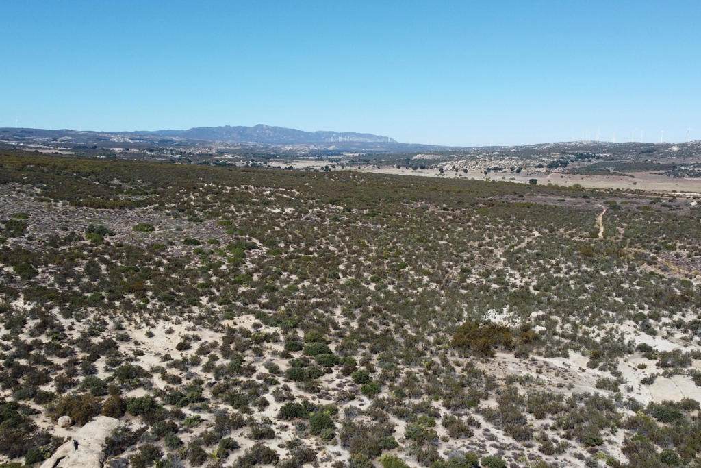 https://bt-photos.global.ssl.fastly.net/socal/orig_boomver_1_408854977-2.jpg