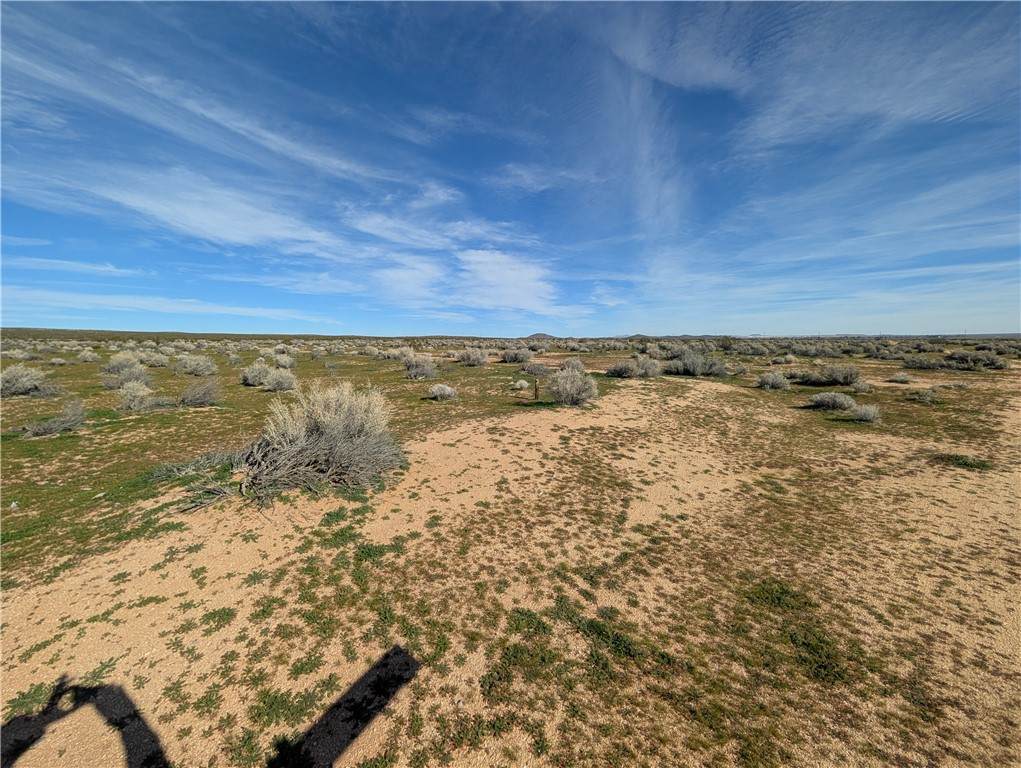 13251 135th Street - Photo 1