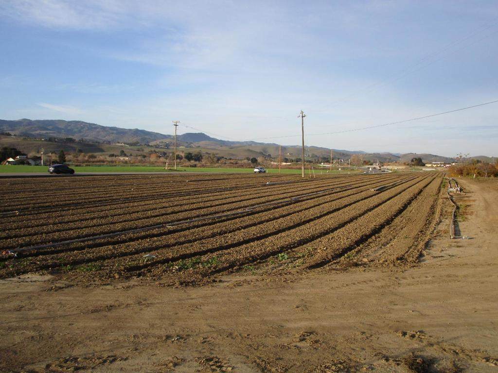 https://bt-photos.global.ssl.fastly.net/socal/orig_boomver_1_409141997-2.jpg
