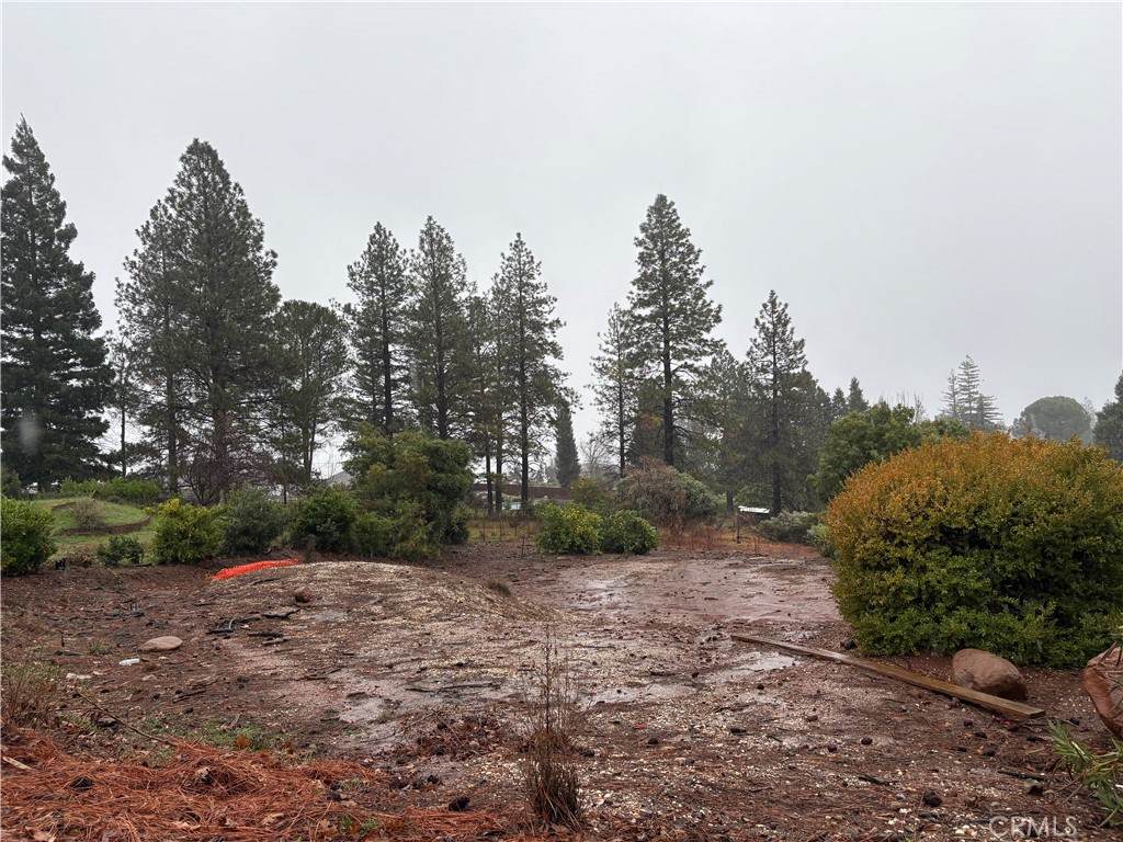 2376 Clearview - Photo 1