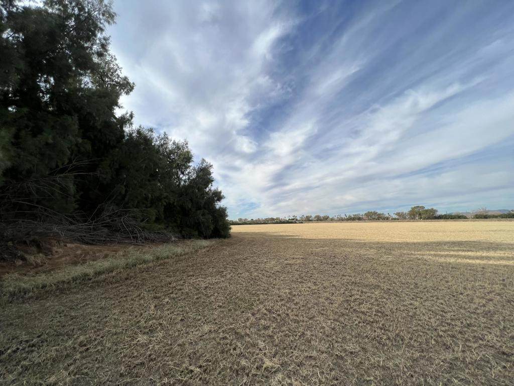 https://bt-photos.global.ssl.fastly.net/socal/orig_boomver_1_409408061-2.jpg