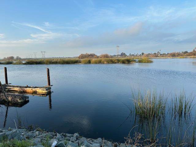 2244 Dutch Slough Road - Photo 1