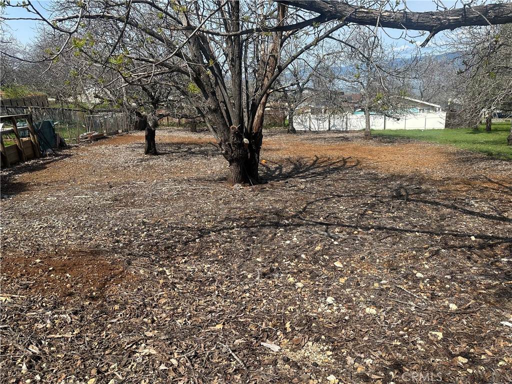 3165 Marina View Drive - Photo 1