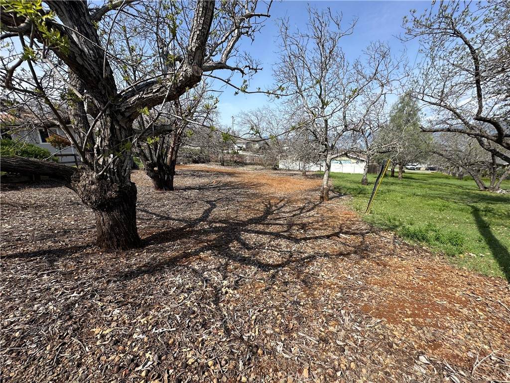 https://bt-photos.global.ssl.fastly.net/socal/orig_boomver_1_409776003-2.jpg