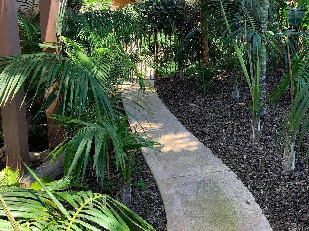 714 Passiflora Ave - Photo 1