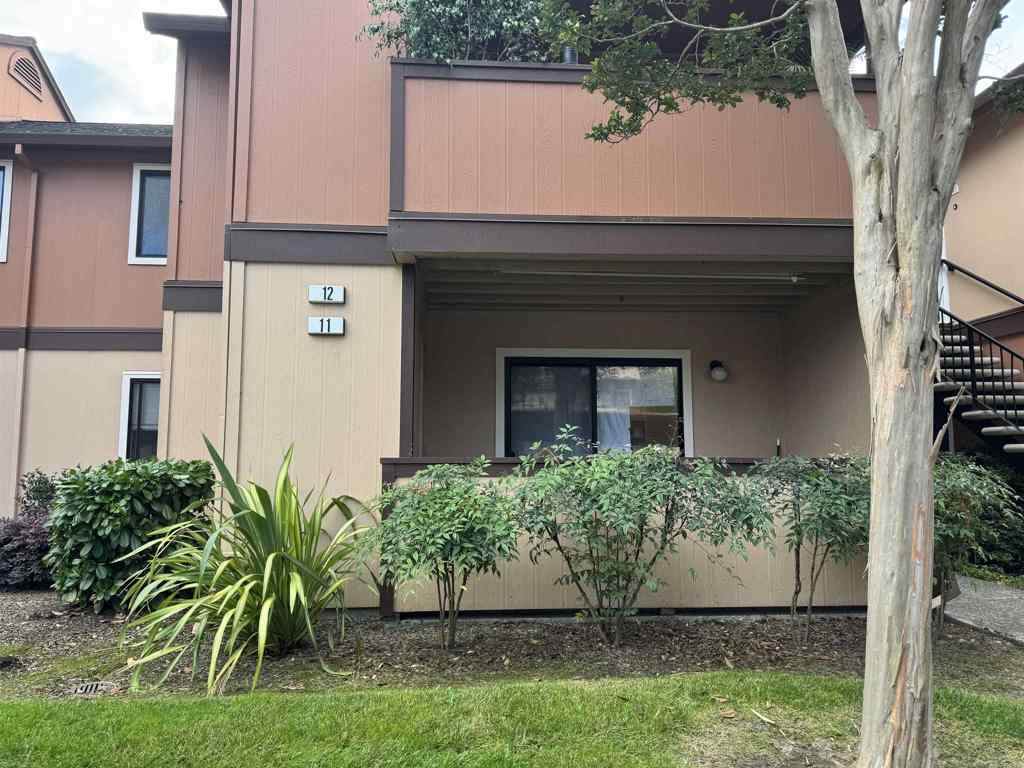 8201 Camino Colegio Dr - Photo 1