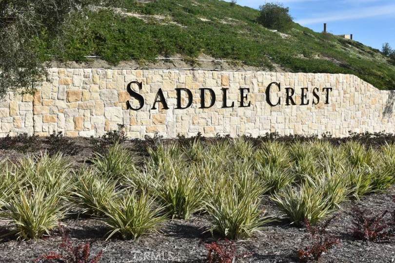 28912 Auburn Hills - Photo 1