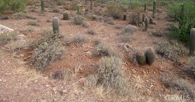 0 Vac/ Challenge Wy Vic Ave # L - Photo 1