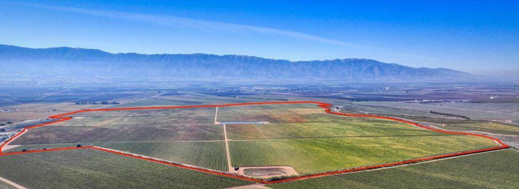 33155 Gloria Road - Photo 1