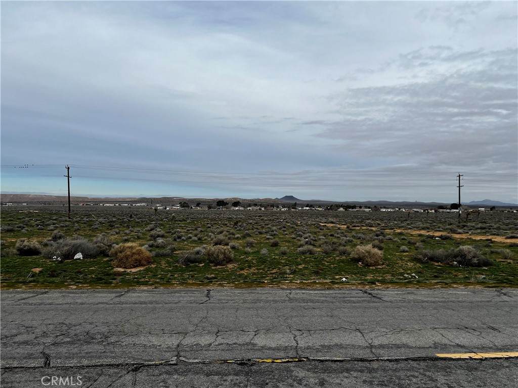 0 20 Mule Team Road - Photo 1