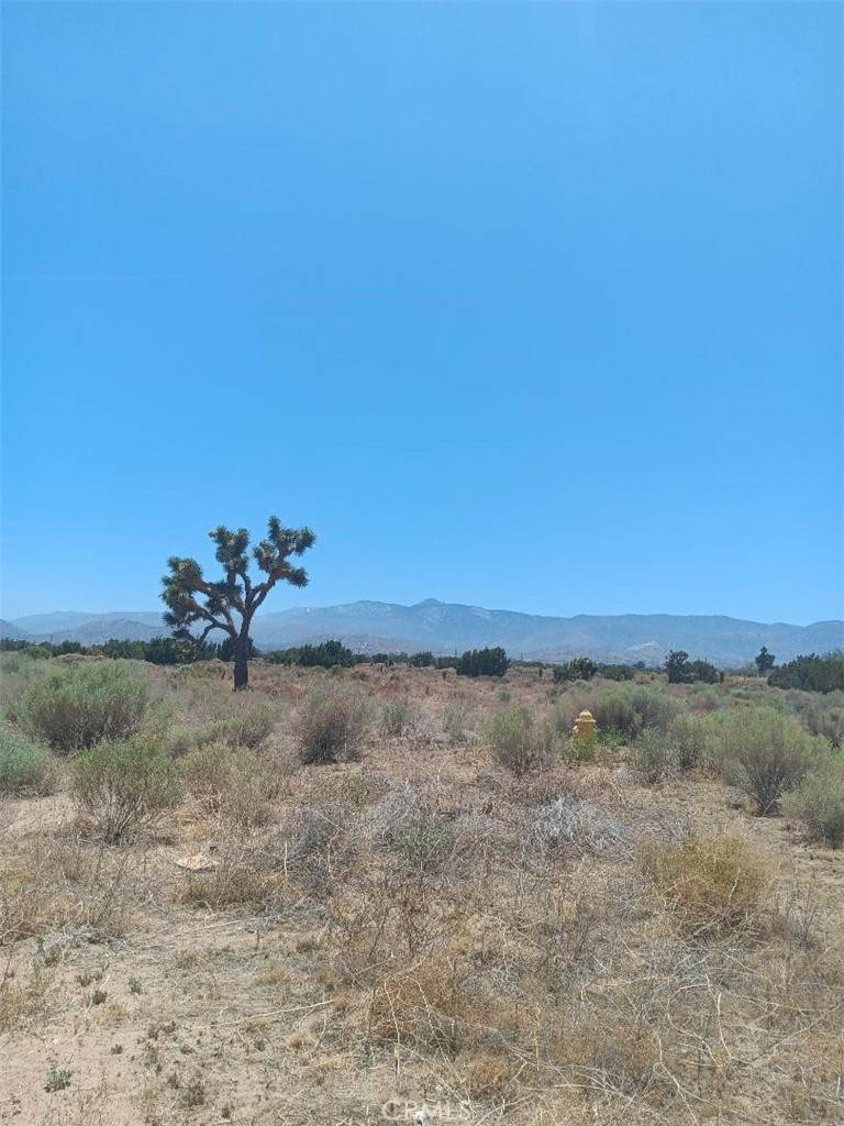 0 Yucca Terrace Road - Photo 1