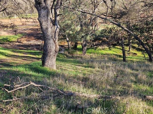 16277 42nd Avenue - Photo 1