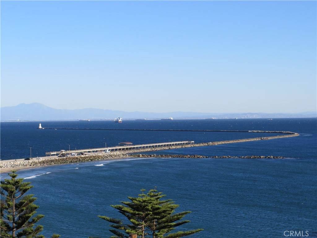 3935 Bluff - Photo 1