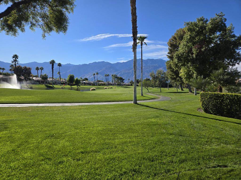 29565 Trancas Drive - Photo 1