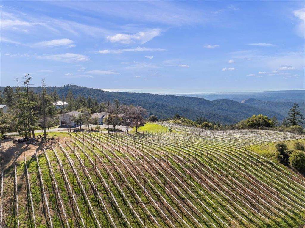 27200 Loma Prieta Way - Photo 1