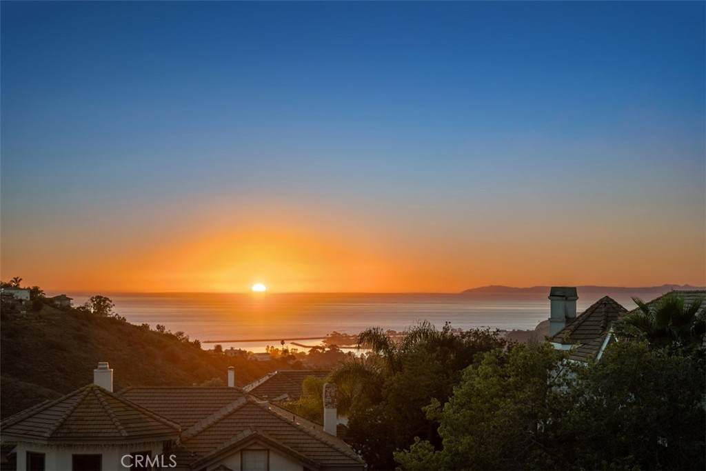 33791 Brandon Lane - Photo 1