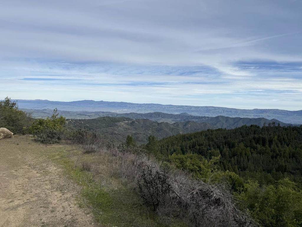 924 Croy Ridge Road - Photo 1