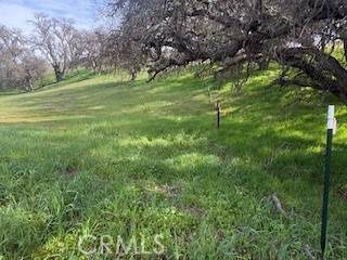 https://bt-photos.global.ssl.fastly.net/socal/orig_boomver_1_413853533-2.jpg