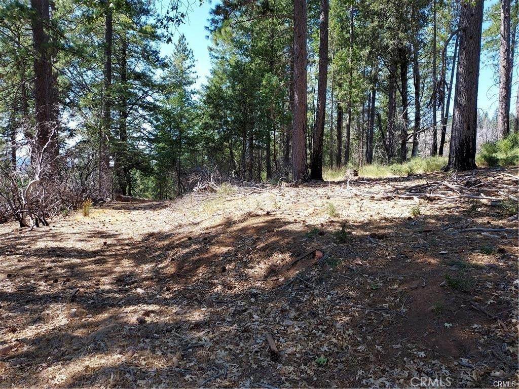 16102 Sugar Pine Ridge Road - Photo 1