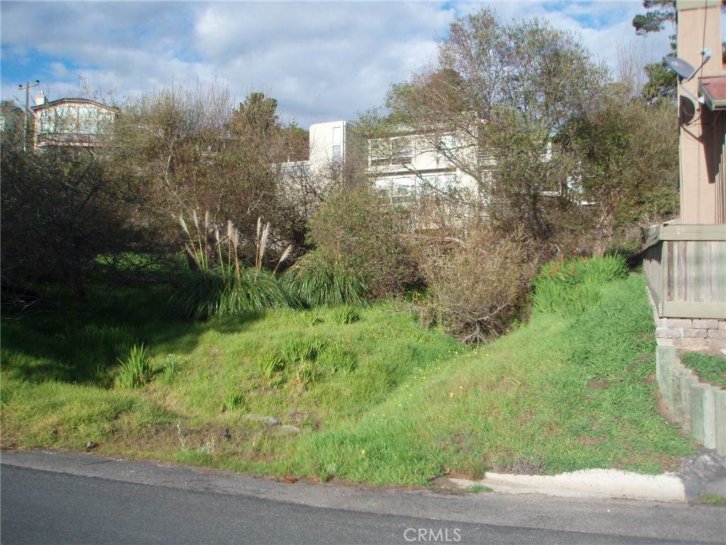 0 Madison Street - Photo 1