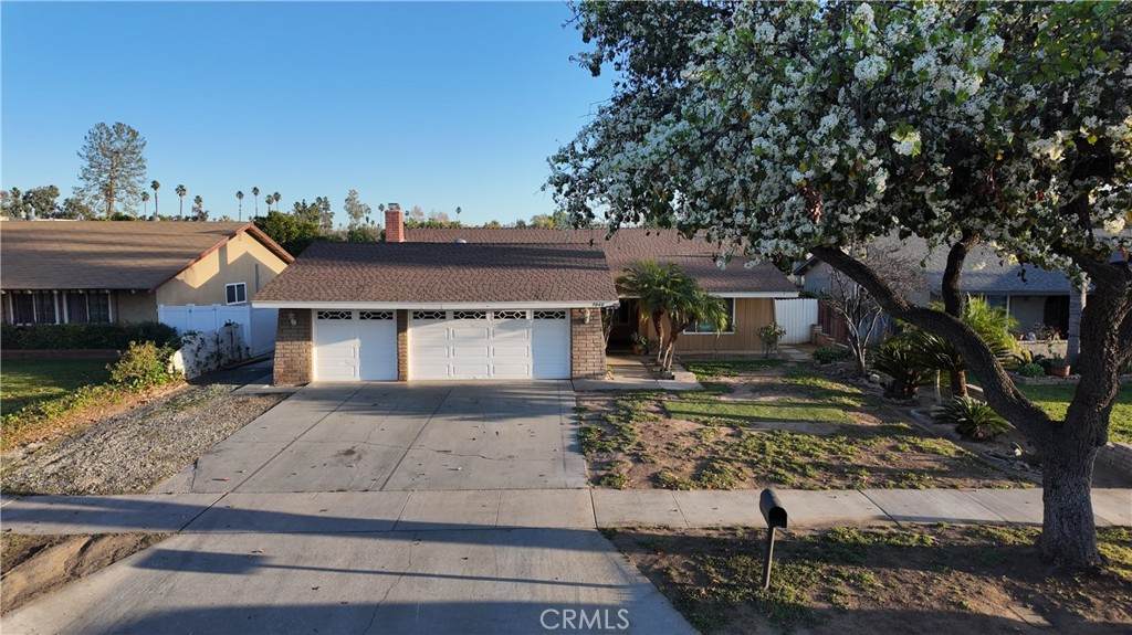 9840 Mcnicholl - Photo 1