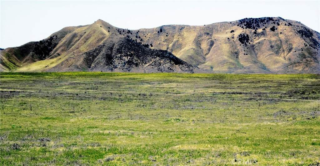 1355 Glassrock Road - Photo 1