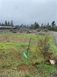 13955 Cascade Drive - Photo 1