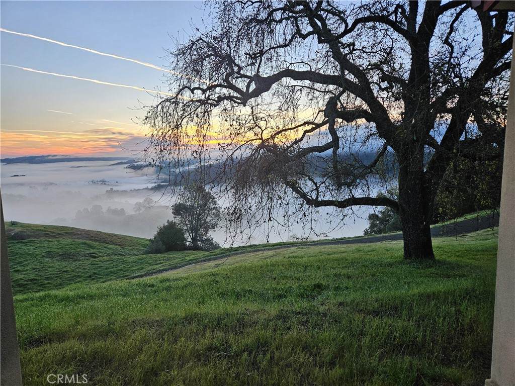 1115 Cypress Mountain Drive - Photo 1